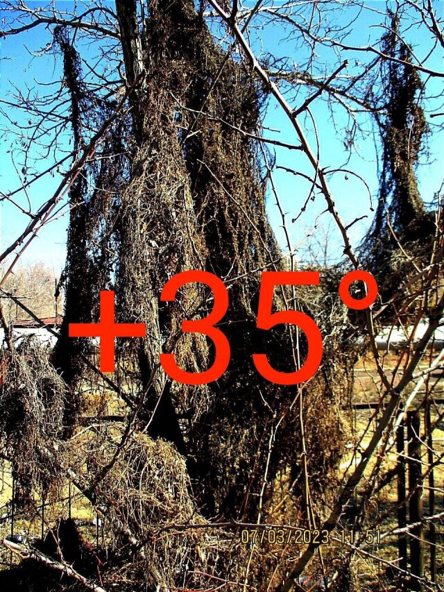 Жара в Астрахани - CO:CREATE 1