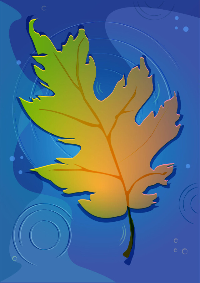 Лист на воде иллюстрация - CO:CREATE 1