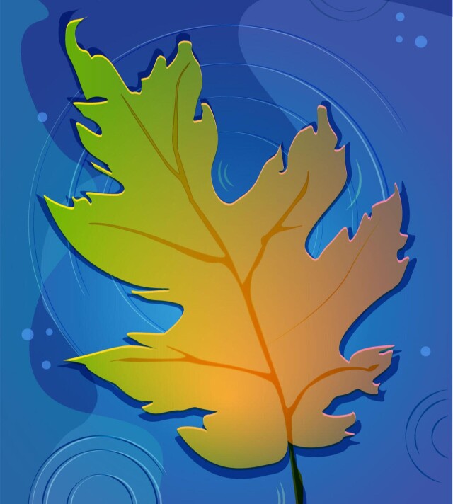 Лист на воде иллюстрация - CO:CREATE