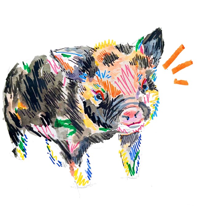 Поросенок - CO:CREATE