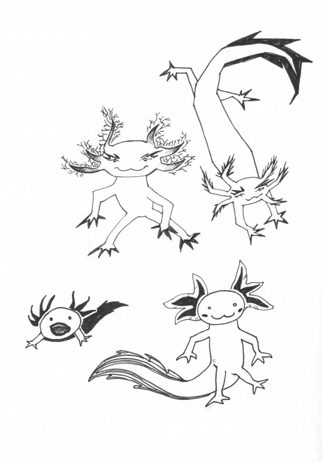 axolotl - CO:CREATE 1