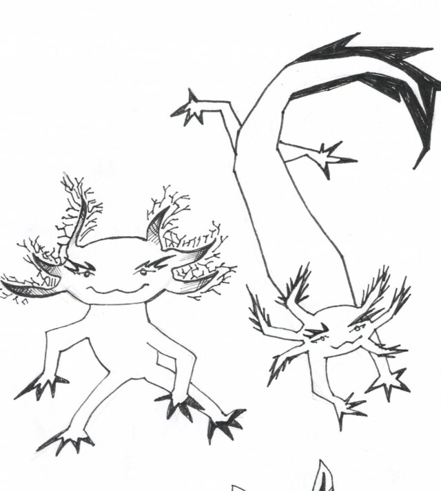 axolotl - CO:CREATE