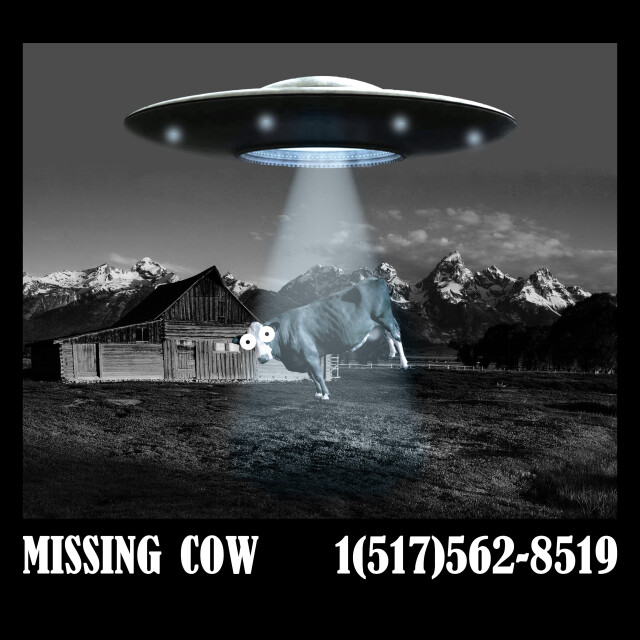 Потерял корову - CO:CREATE 1