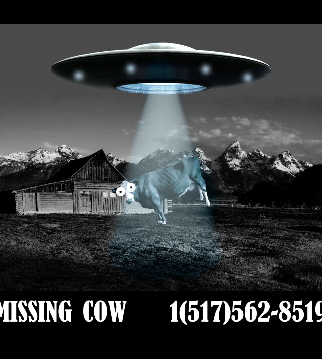 Потерял корову - CO:CREATE