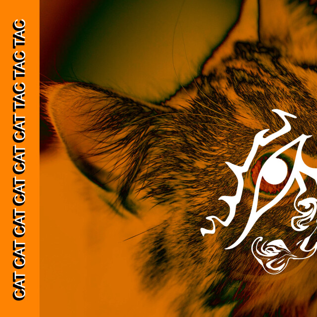 Оранжевый котофей - CO:CREATE 1