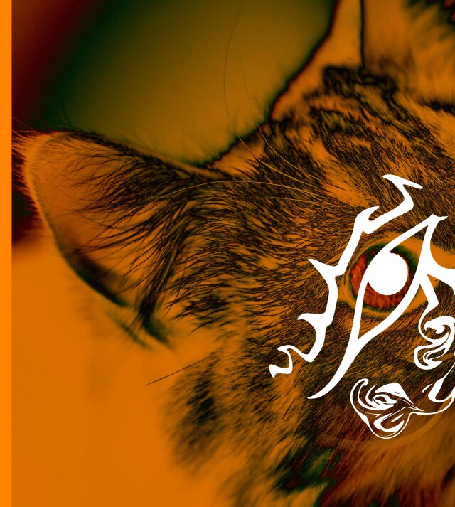 Оранжевый котофей - CO:CREATE