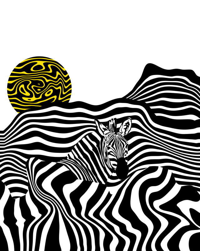 Зёбра - CO:CREATE 1