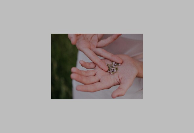 summer freedom - CO:CREATE 2