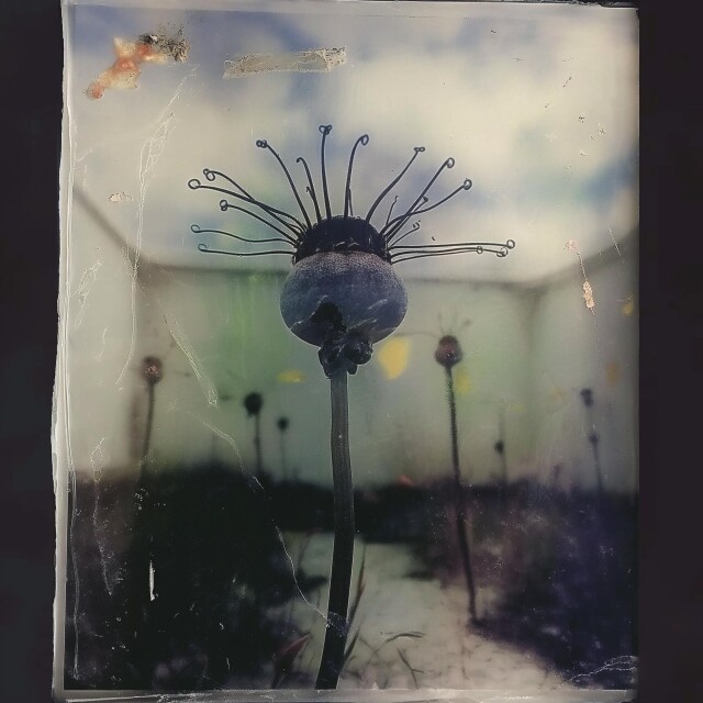 Era of black rat - CO:CREATE 8