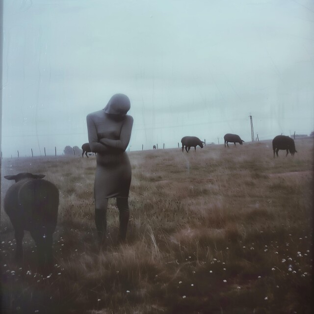 Era of black rat - CO:CREATE 2