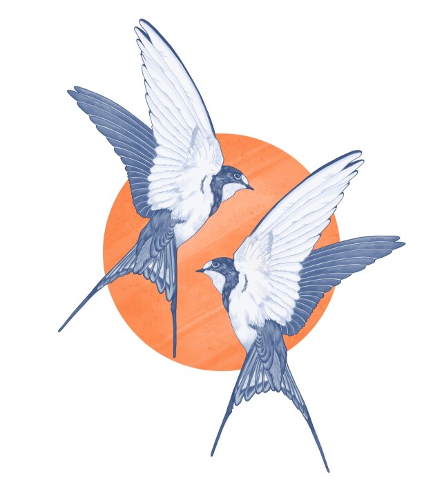 Ласточка - символ города Пензы - CO:CREATE