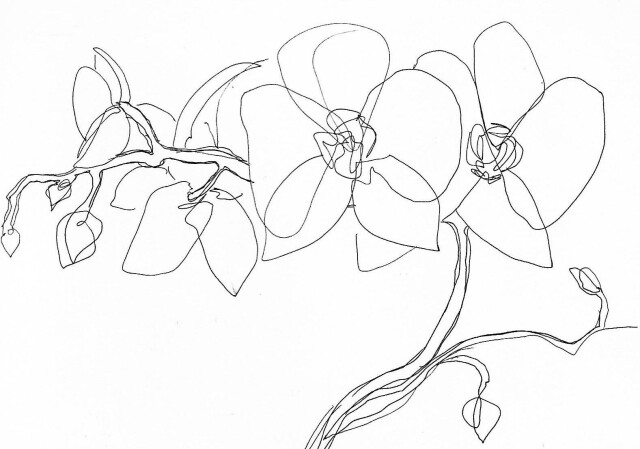 Скетчи с цветами - CO:CREATE 4