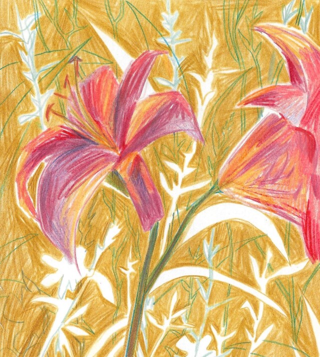 Скетчи с цветами - CO:CREATE