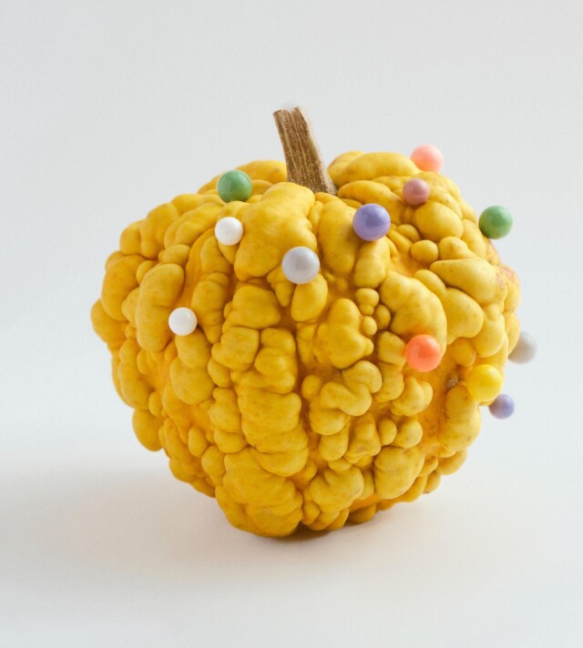 Subject portrait #05 - CO:CREATE