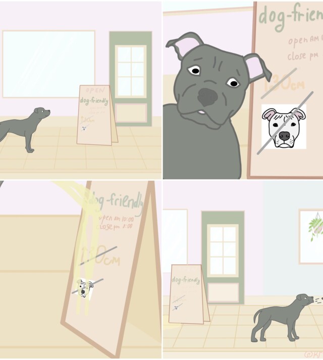 dog friendly? - CO:CREATE