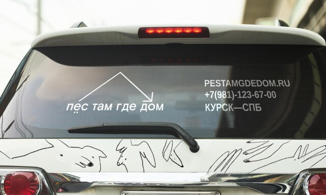 «ПЁС ТАМ ГДЕ ДОМ» - CO:CREATE 4