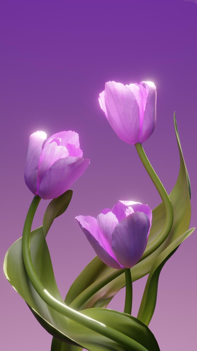 Tulips - CO:CREATE 1