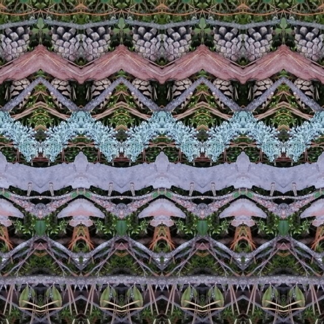 мхи, травы, ветки, цветы - CO:CREATE 6