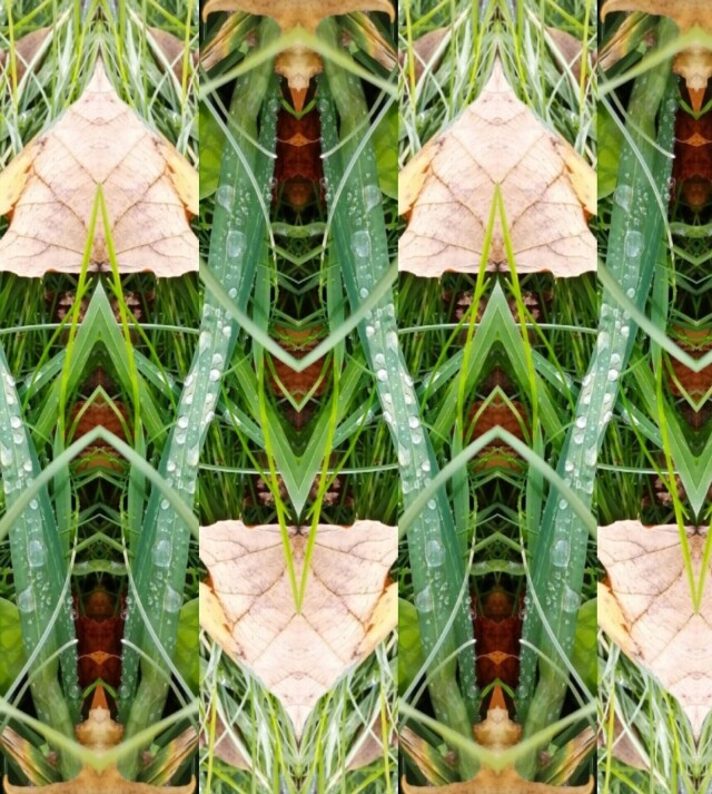 мхи, травы, ветки, цветы - CO:CREATE