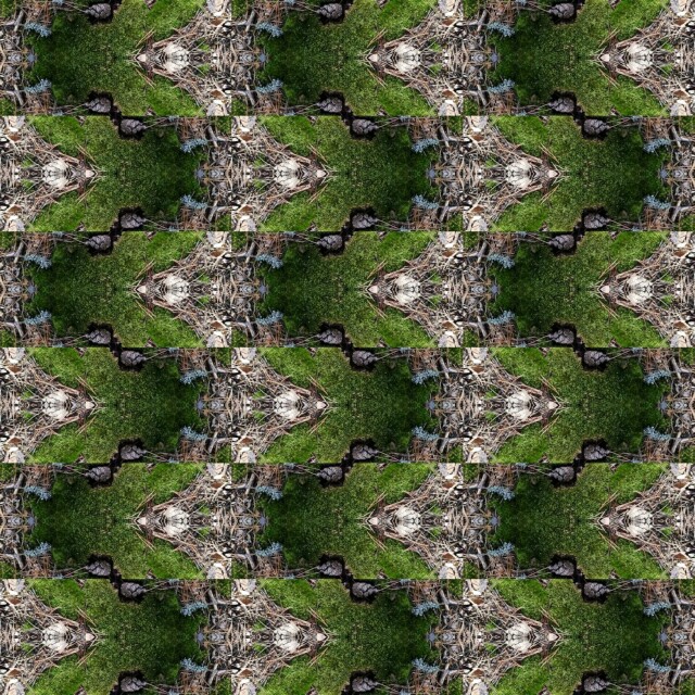 мхи, травы, ветки, цветы - CO:CREATE 8