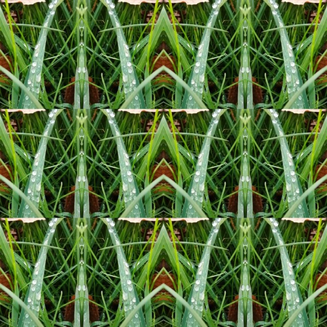 мхи, травы, ветки, цветы - CO:CREATE 3