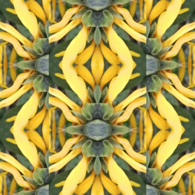 мхи, травы, ветки, цветы - CO:CREATE 2