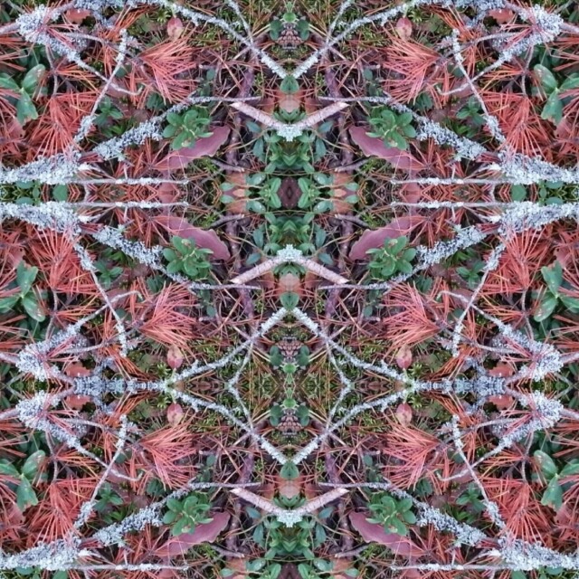 мхи, травы, ветки, цветы - CO:CREATE 5