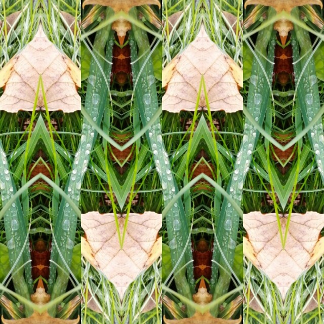 мхи, травы, ветки, цветы - CO:CREATE 4