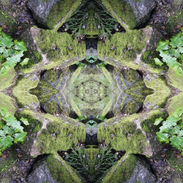 мхи, травы, ветки, цветы - CO:CREATE 7