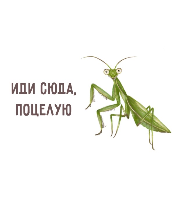 Самка богомола - CO:CREATE