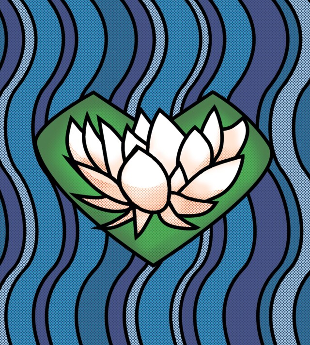 Астраханский лотос - CO:CREATE