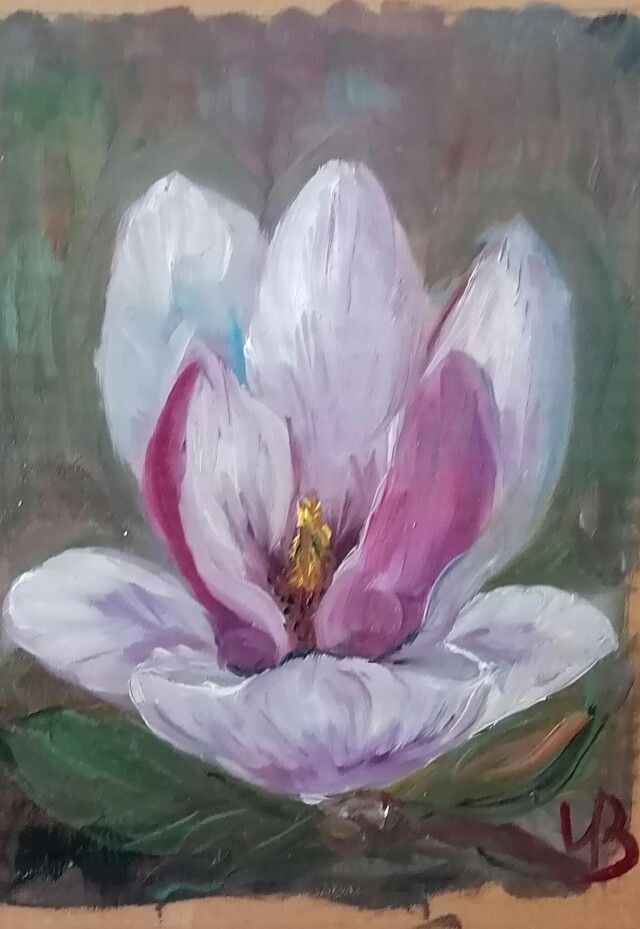 Магнолия - CO:CREATE 1