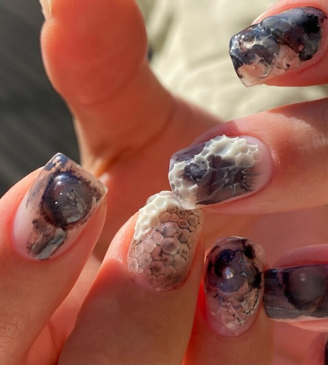 Устрицы - CO:CREATE