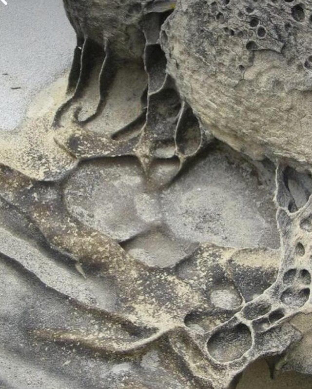 Устрицы - CO:CREATE 5