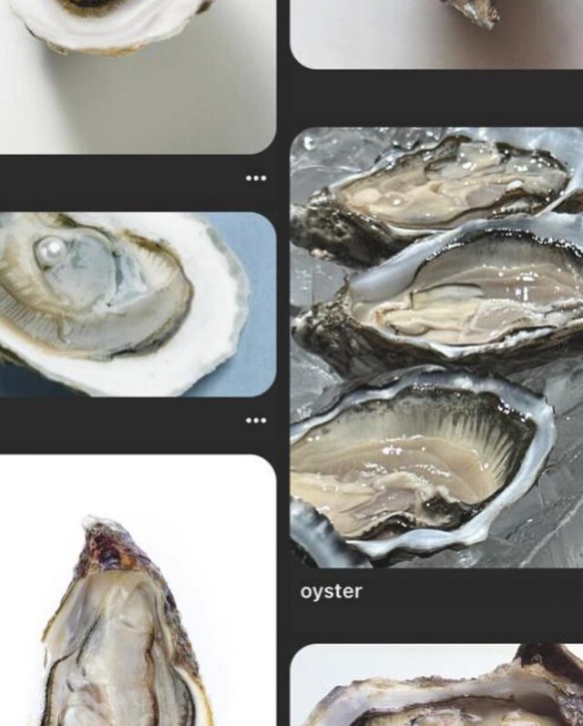 Устрицы - CO:CREATE 7