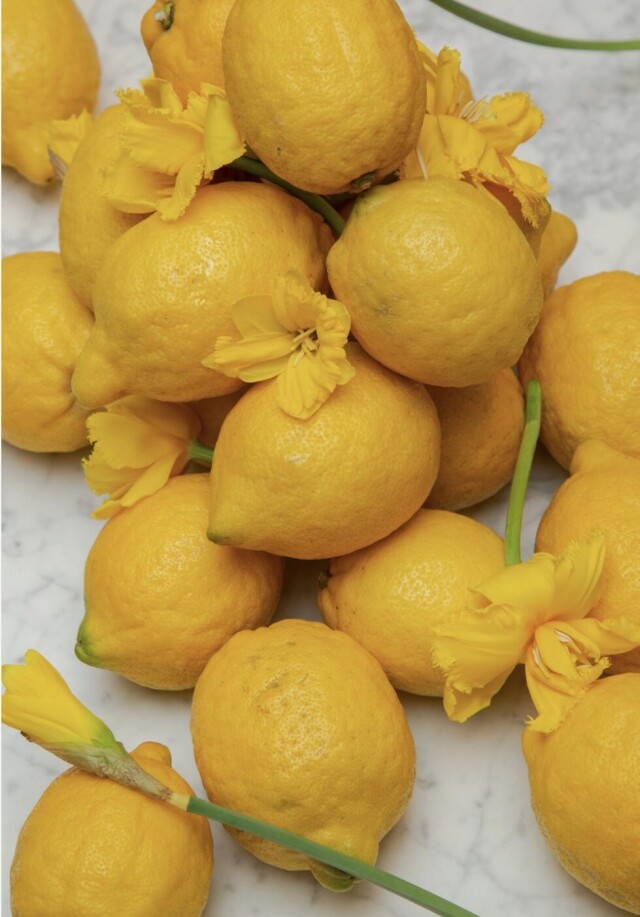 Оформление корнера - CO:CREATE 4