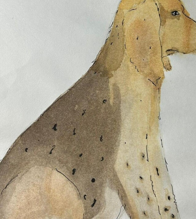 Лучший друг - CO:CREATE