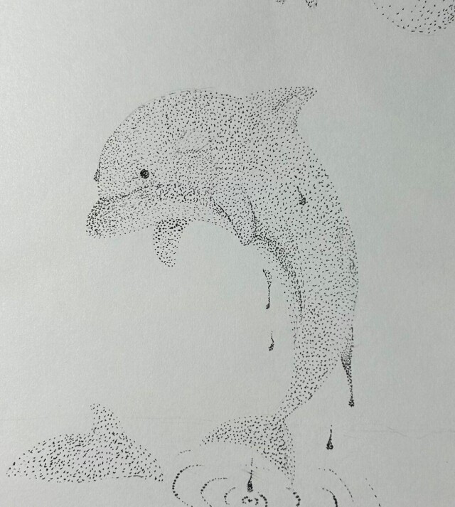 Дельфин - CO:CREATE