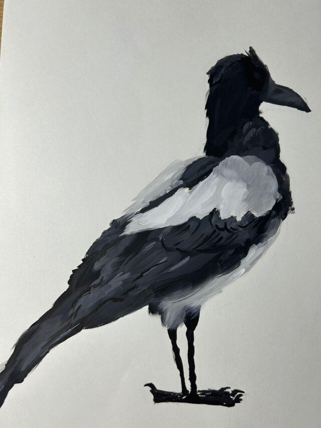 Сорока - CO:CREATE 1