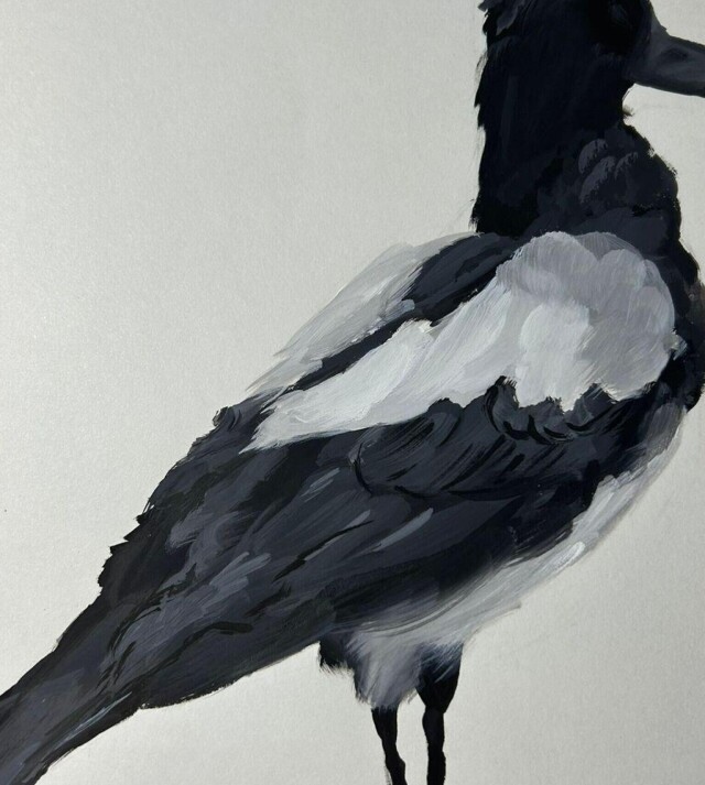 Сорока - CO:CREATE