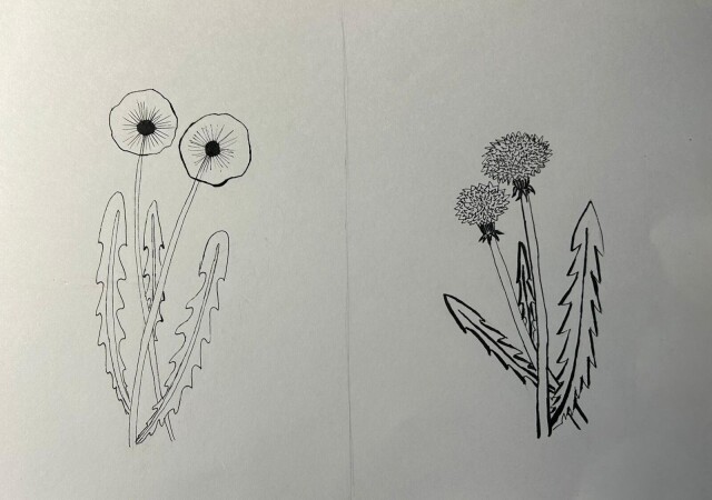 Добрый и злой одуванчики - CO:CREATE 1