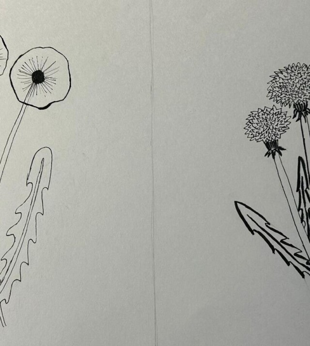 Добрый и злой одуванчики - CO:CREATE