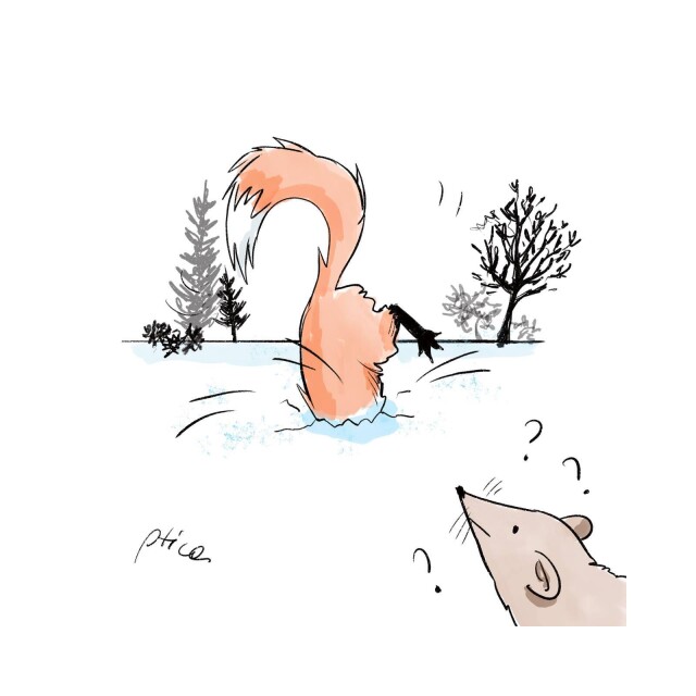 лиса мышкует - CO:CREATE 1