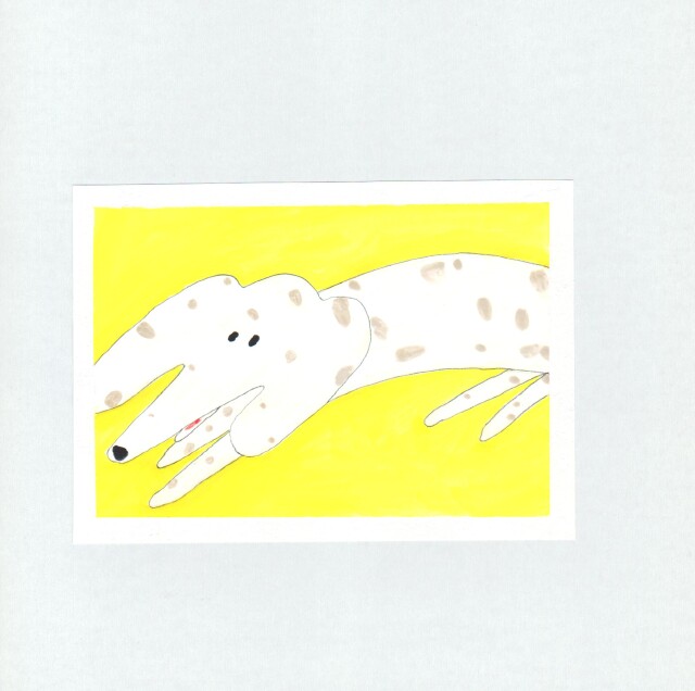 собачка - CO:CREATE 1