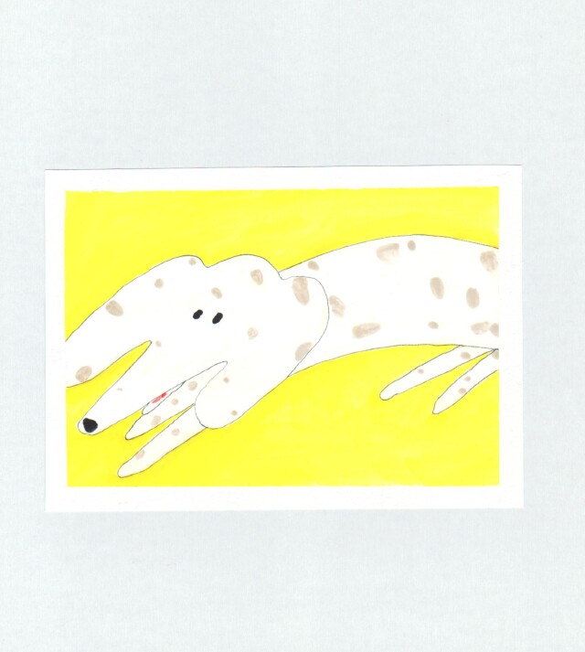 собачка - CO:CREATE