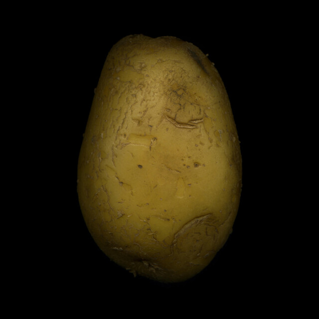 .6 / Potato No.1 - CO:CREATE 1