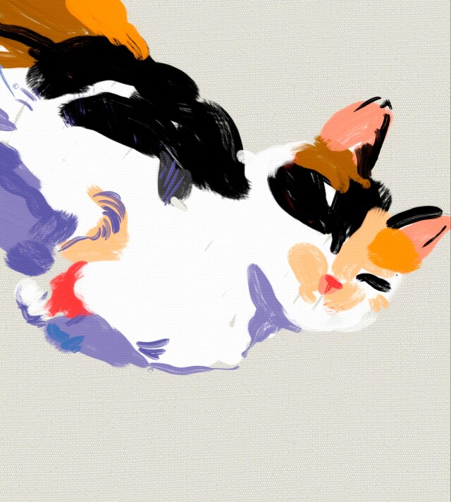 Золотая Соня#001 - CO:CREATE