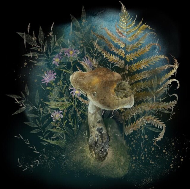 Ботаническая иллюстрация - CO:CREATE