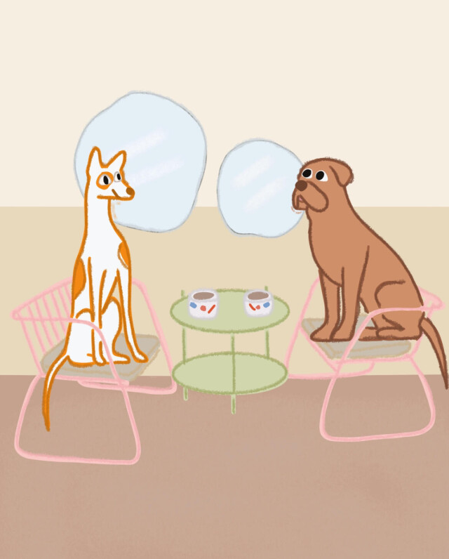 dog 🐕 - CO:CREATE 1