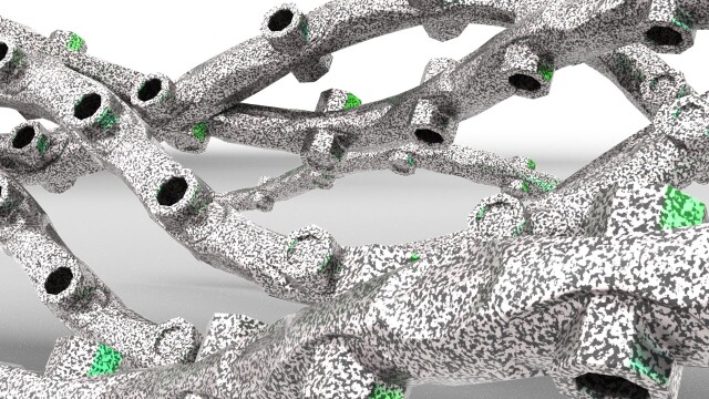 Biologicle Chronicle 2023 - CO:CREATE 5